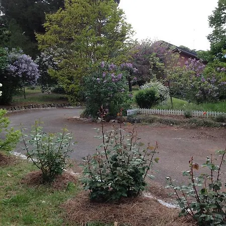 Paradiso Di Giulietta